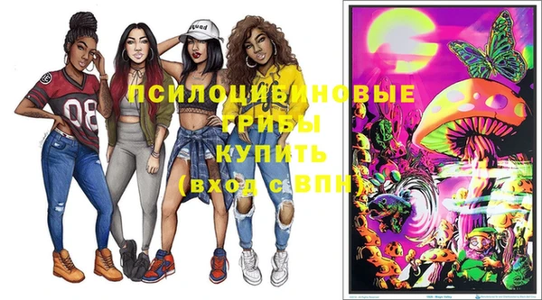 ешки Пестово