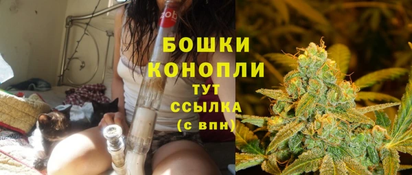 ешки Пестово