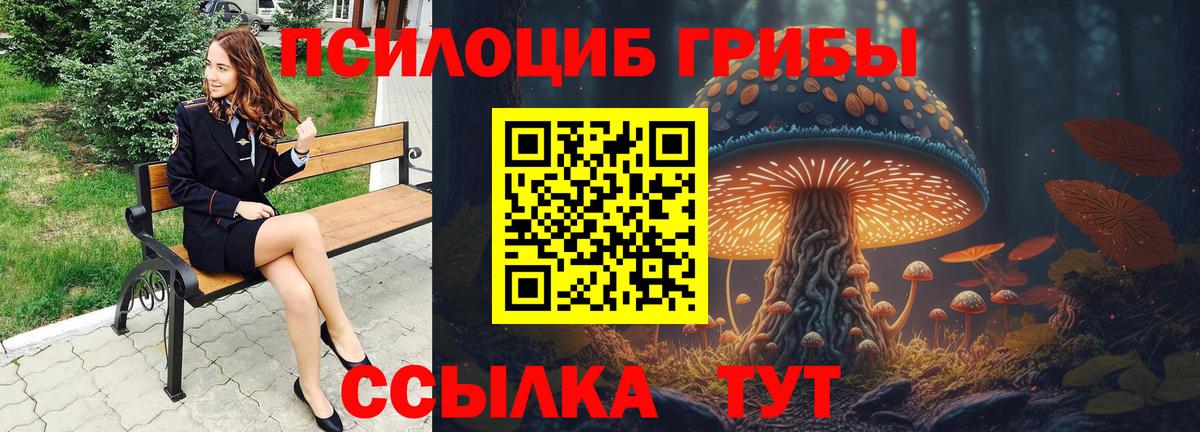 Псилоцибиновые грибы мухоморы  Вход с VPN  Боровичи 