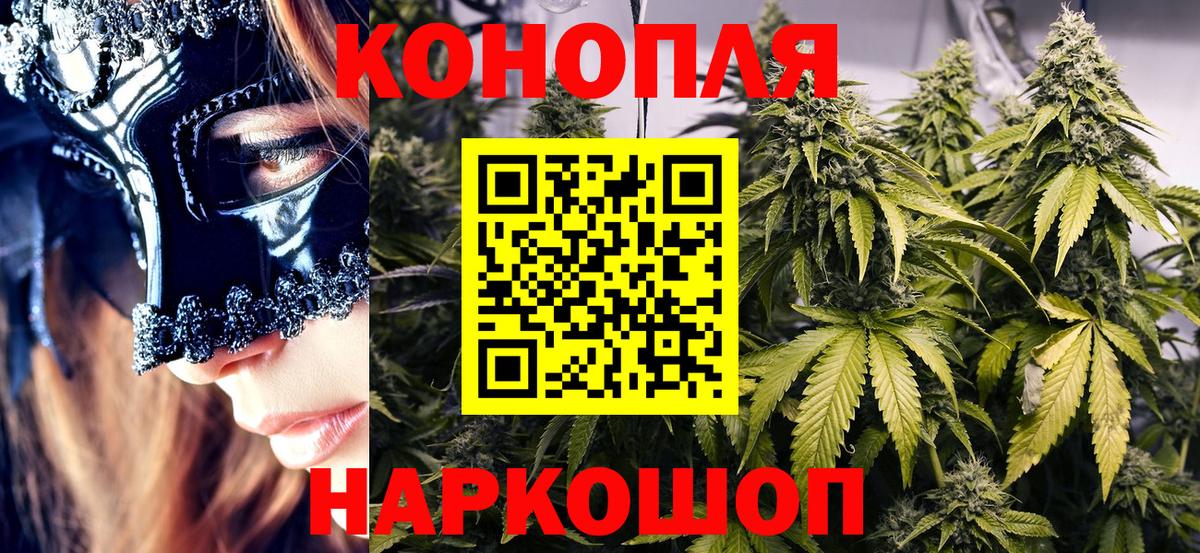 Конопля Bruce Banner  Бошки Шишки тримм  Боровичи  Канабис план  Вход с VPN 